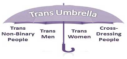Borde legumbres preferible Understanding Transgender